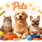 Acessorios para animais